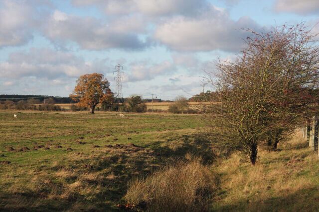Flood plain of the Little Ouse river Viewed from the end of Salmond Drive, Barnham, the flood plain of the Little Ouse river extends as far as the former RAF housing estate.