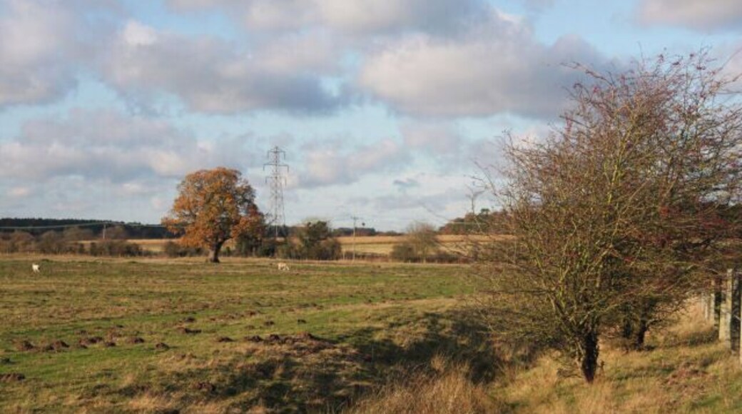 Flood plain of the Little Ouse river Viewed from the end of Salmond Drive, Barnham, the flood plain of the Little Ouse river extends as far as the former RAF housing estate.