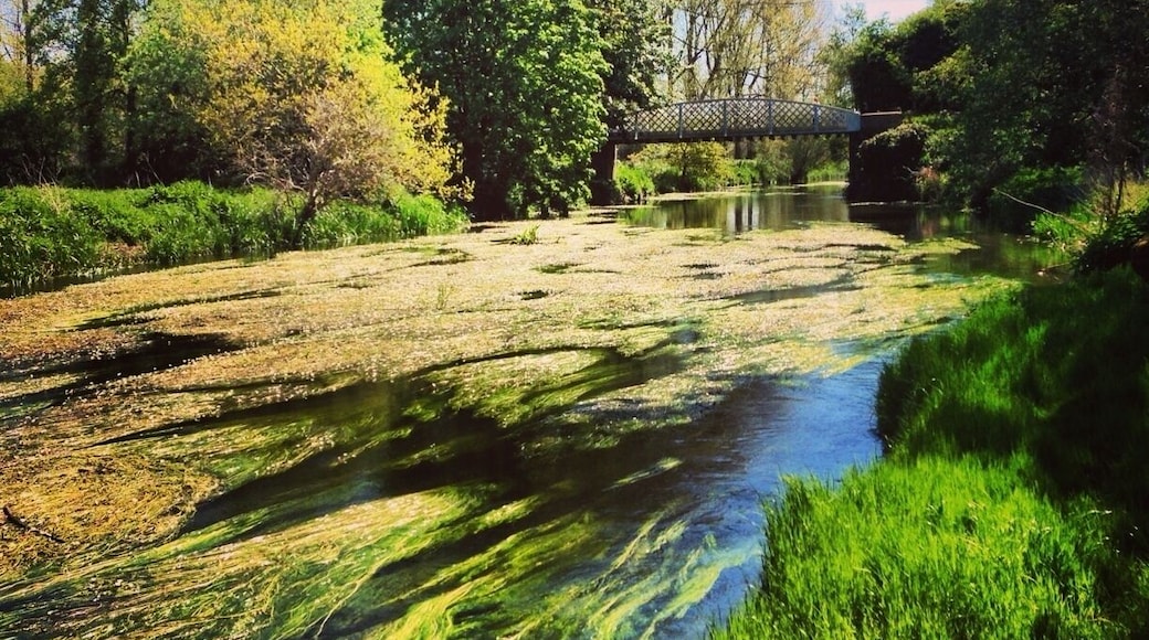 Cute river boating with wildlife!