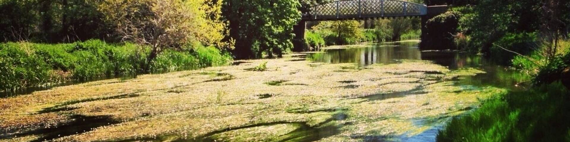 Cute river boating with wildlife!