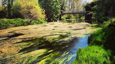 Cute river boating with wildlife!