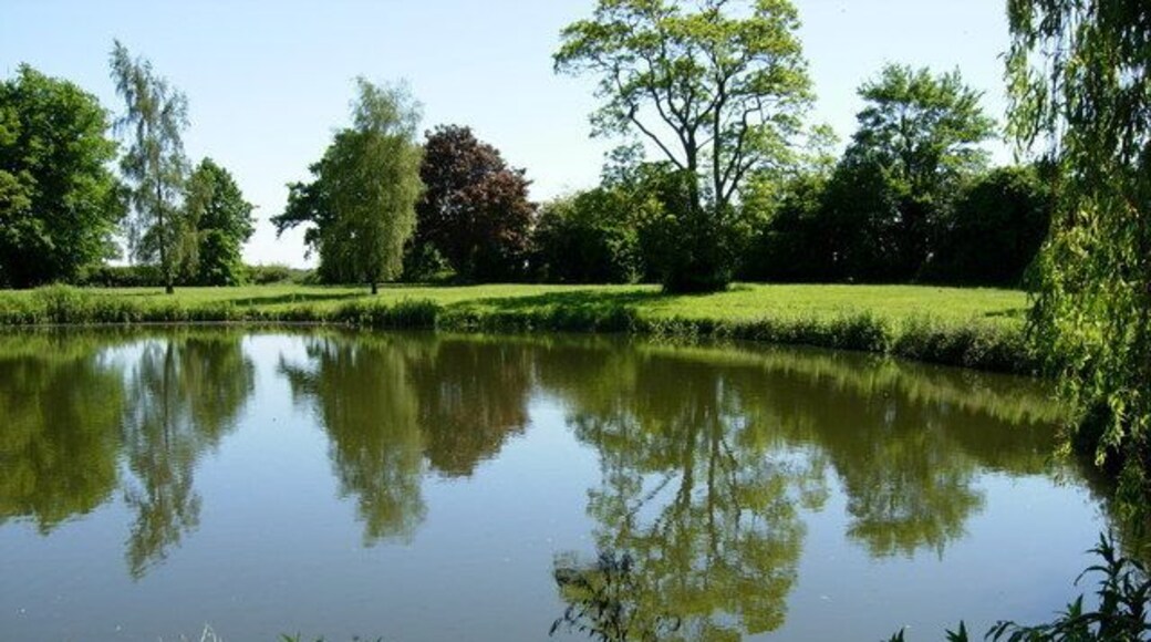Pond near Rymer Point. This pond is located opposite Rymer Farm.