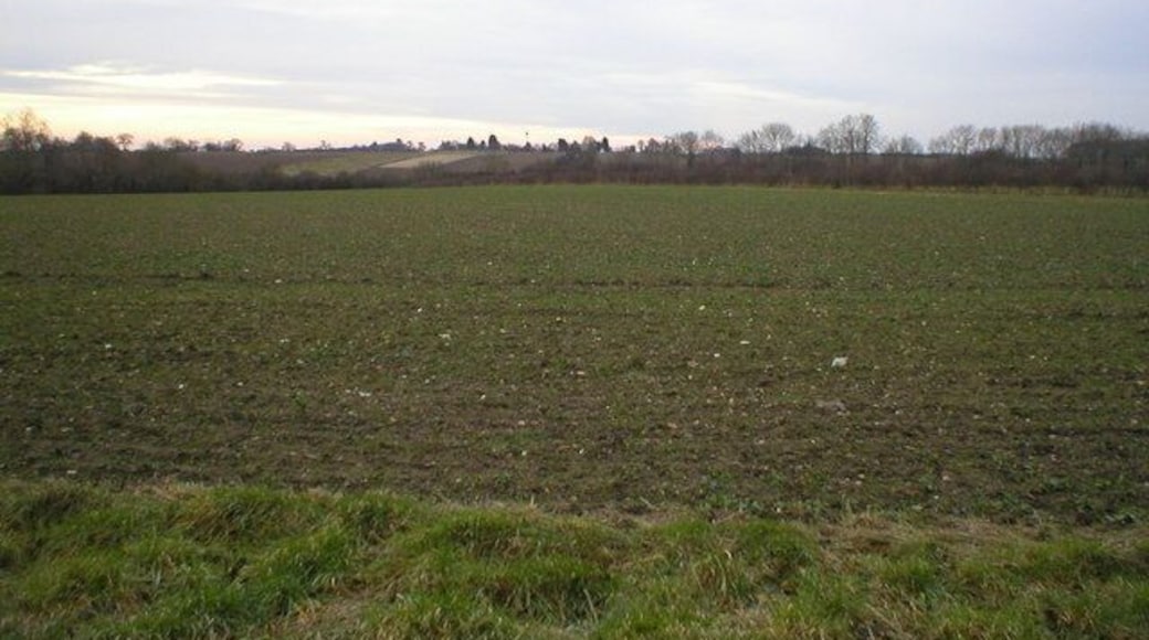 Fields looking south towards Ashill Green fields and high ground with valleys across farmland to Ashill Common area