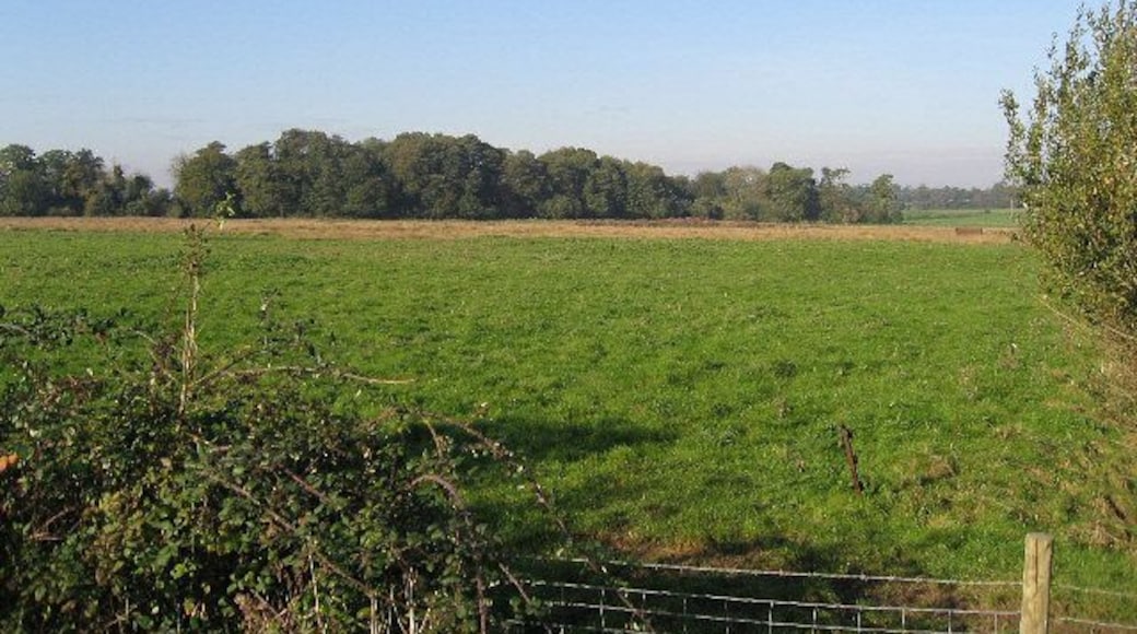 Breckland District A typical view in this mainly rural District.