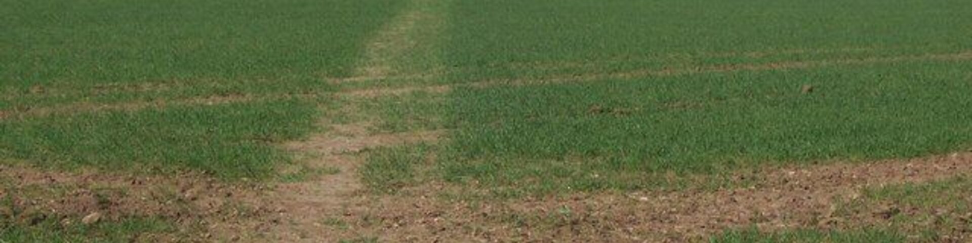Footpath to Court Lane Path from Pierce Mill Lane, leads through field to Boorman's Farm on road.