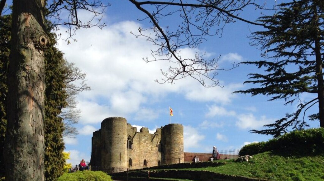 Nice castle if in kent , is mainly rubble now ,but good views of town and area .
