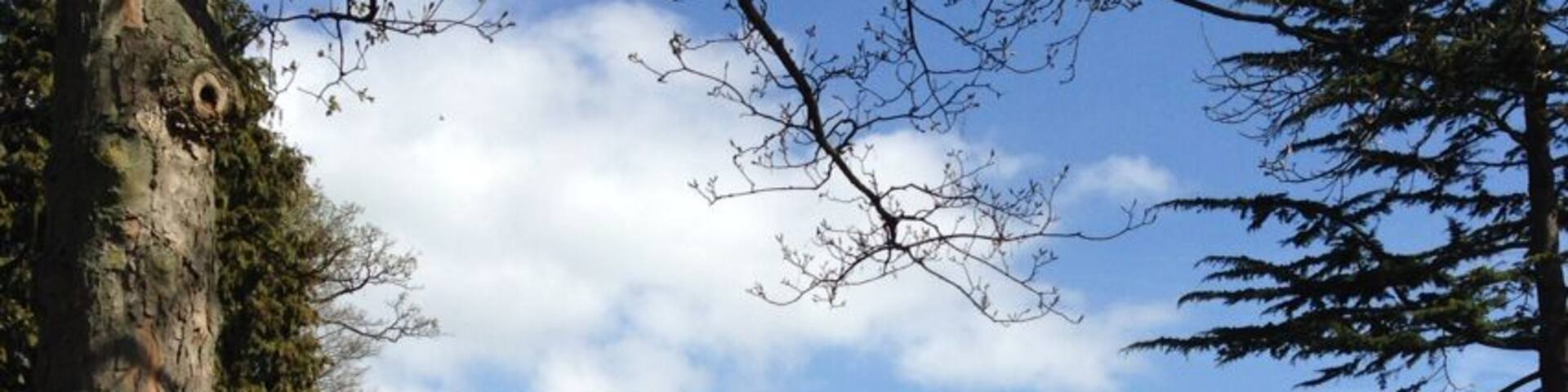 Nice castle if in kent , is mainly rubble now ,but good views of town and area .