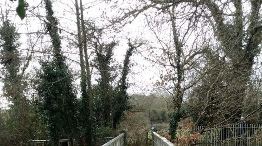 Dog walking and cycling park with lakes, rivers, woods, fields and a great little cafe that sells homemade burgers (including the veggie kind) and dog biscuits.