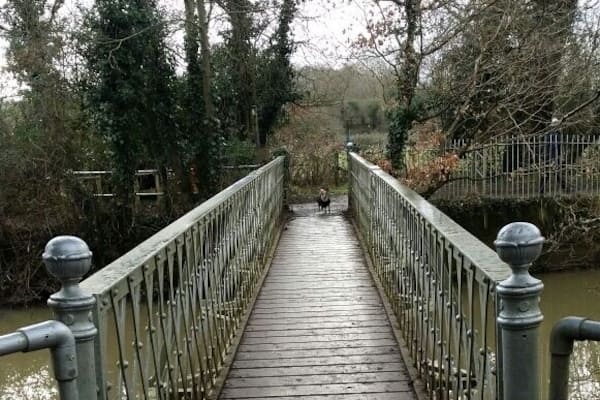 Dog walking and cycling park with lakes, rivers, woods, fields and a great little cafe that sells homemade burgers (including the veggie kind) and dog biscuits.