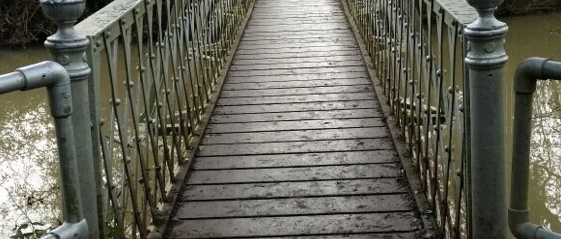 Dog walking and cycling park with lakes, rivers, woods, fields and a great little cafe that sells homemade burgers (including the veggie kind) and dog biscuits.