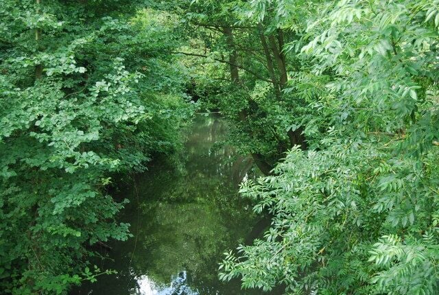 River Bourne, Hadlow (2)
