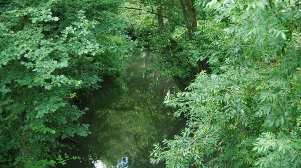 River Bourne, Hadlow (2)