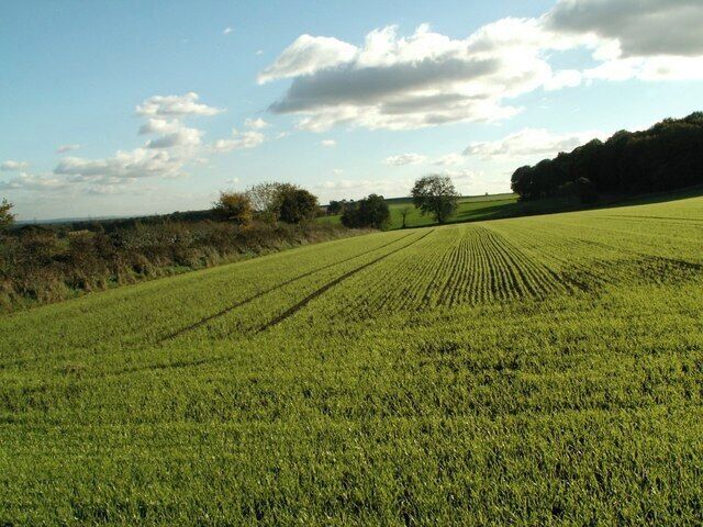 Looks like Spring The photo was take on the 1st November 2006. Wheatley Wood is the dark area on the right.