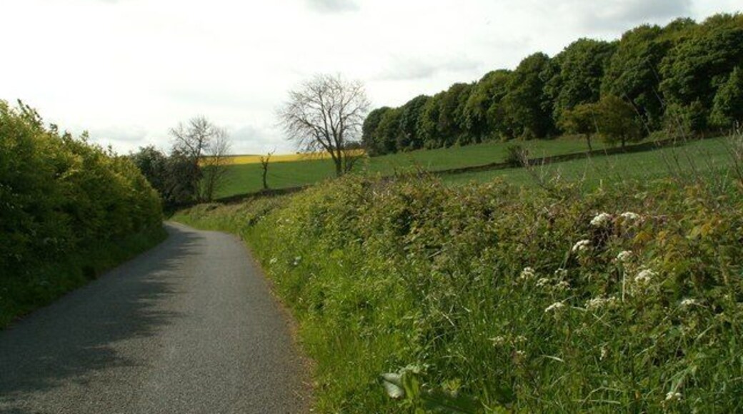 Woodhouse Lane Wheatley Wood can be seen right hand skyline.