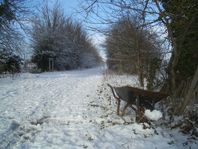 Abandoned Barrow Snow on the roads, you get abandoned cars. Snow on a footpath, you get abandoned wheelbarrows. Logical, really. This is the Ridgeway Path just north of North Stoke.