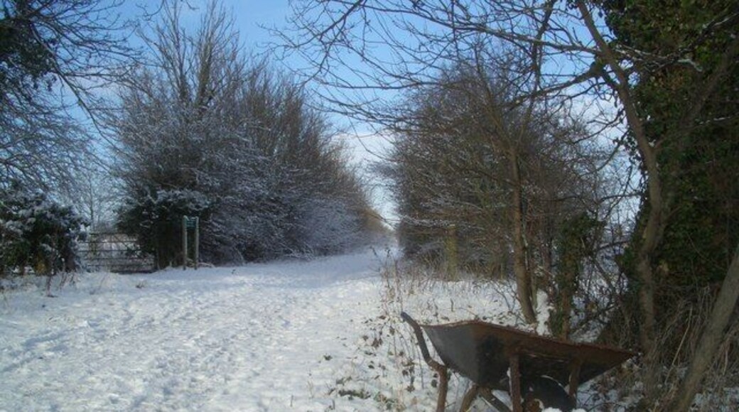 Abandoned Barrow Snow on the roads, you get abandoned cars. Snow on a footpath, you get abandoned wheelbarrows. Logical, really. This is the Ridgeway Path just north of North Stoke.