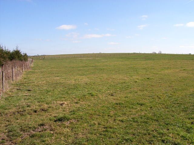 Newbury Hill. A slight rising hardly deserving of the word 'hill'.