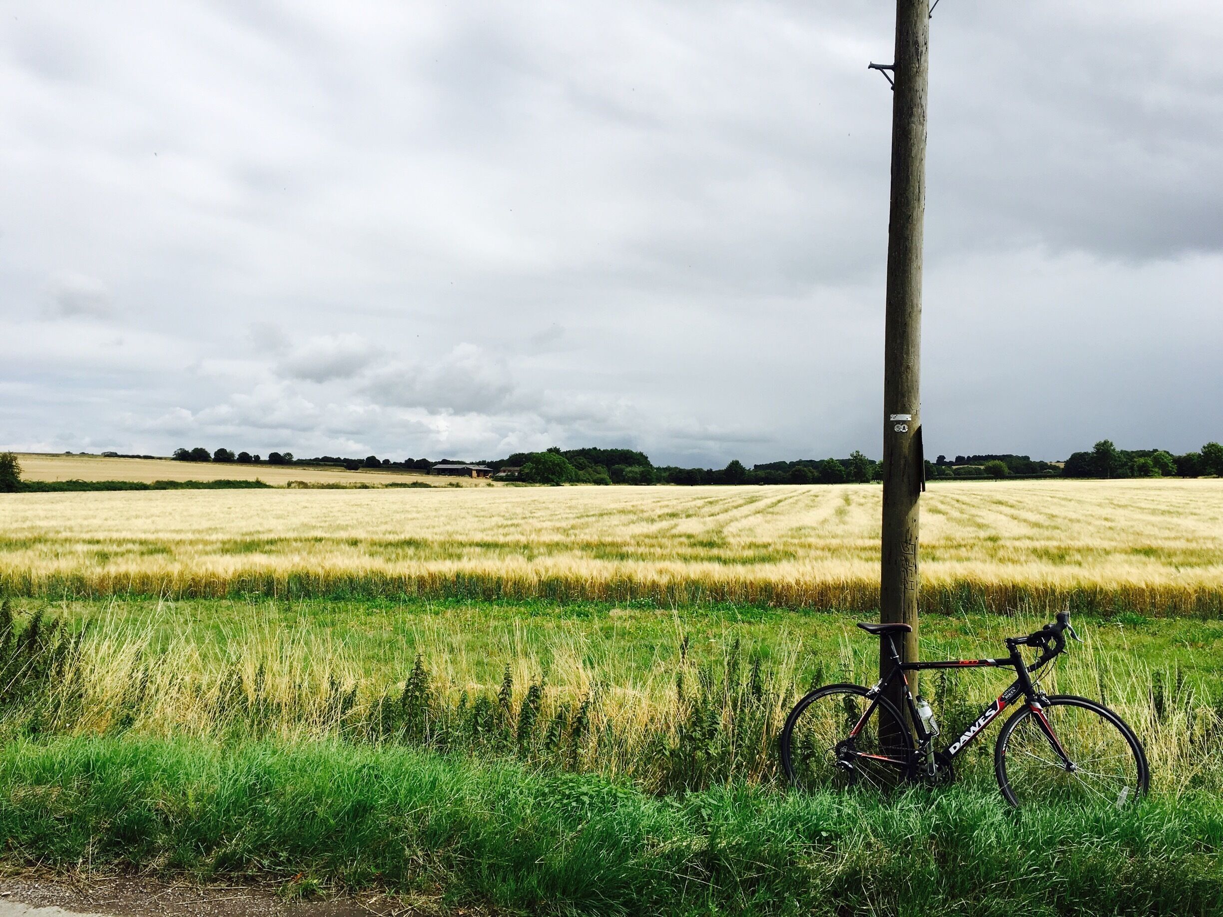 Nothing like some miles on a bike to connect you with an unfamiliar part of the world.   This was about halfway between Oxford and Henley, UK.     It's easy to rent a bike in Oxford at Walden Street Cycles and head from there for a few hours in the countryside. 