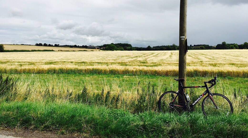 Nothing like some miles on a bike to connect you with an unfamiliar part of the world. This was about halfway between Oxford and Henley, UK. It's easy to rent a bike in Oxford at Walden Street Cycles and head from there for a few hours in the countryside.