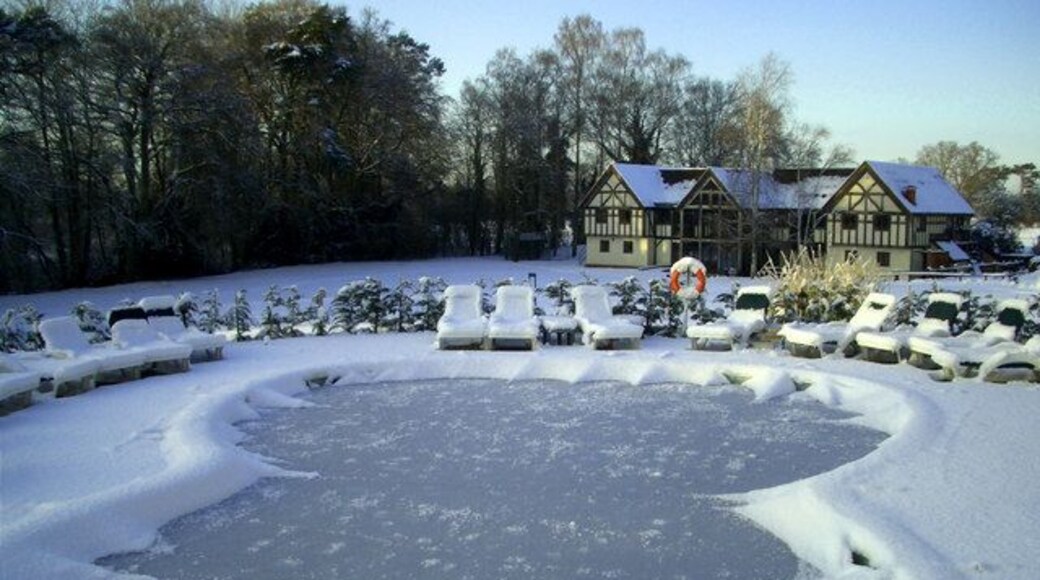 Guitar-shaped swimming pool at The Springs hôtel, North Stoke, Oxfordshire. The pool was built for the guitarist Ian Gillan of the rock band Deep Purple when he owned the hôtel.