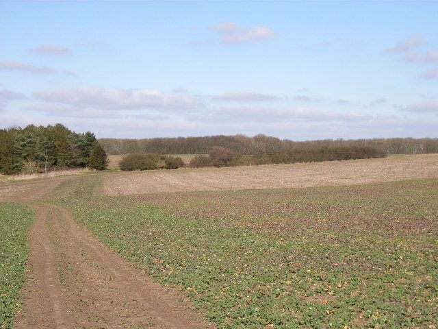 Little Holcombe. The near trees mark the former site of Little Holcombe Farm. Little Holcombe Covert is the wood in the distance.