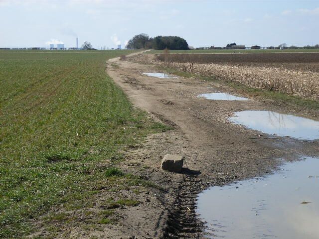 Track between Hare's Leap and Ewe Farm. Looking west, with Didcot Power station in the background.