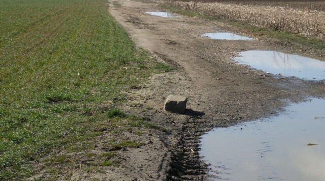 Track between Hare's Leap and Ewe Farm. Looking west, with Didcot Power station in the background.