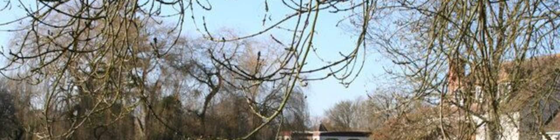 Mill stream over the garden The house on the right is marked up as a mill on the map and the stream from it is in the mid-picture.