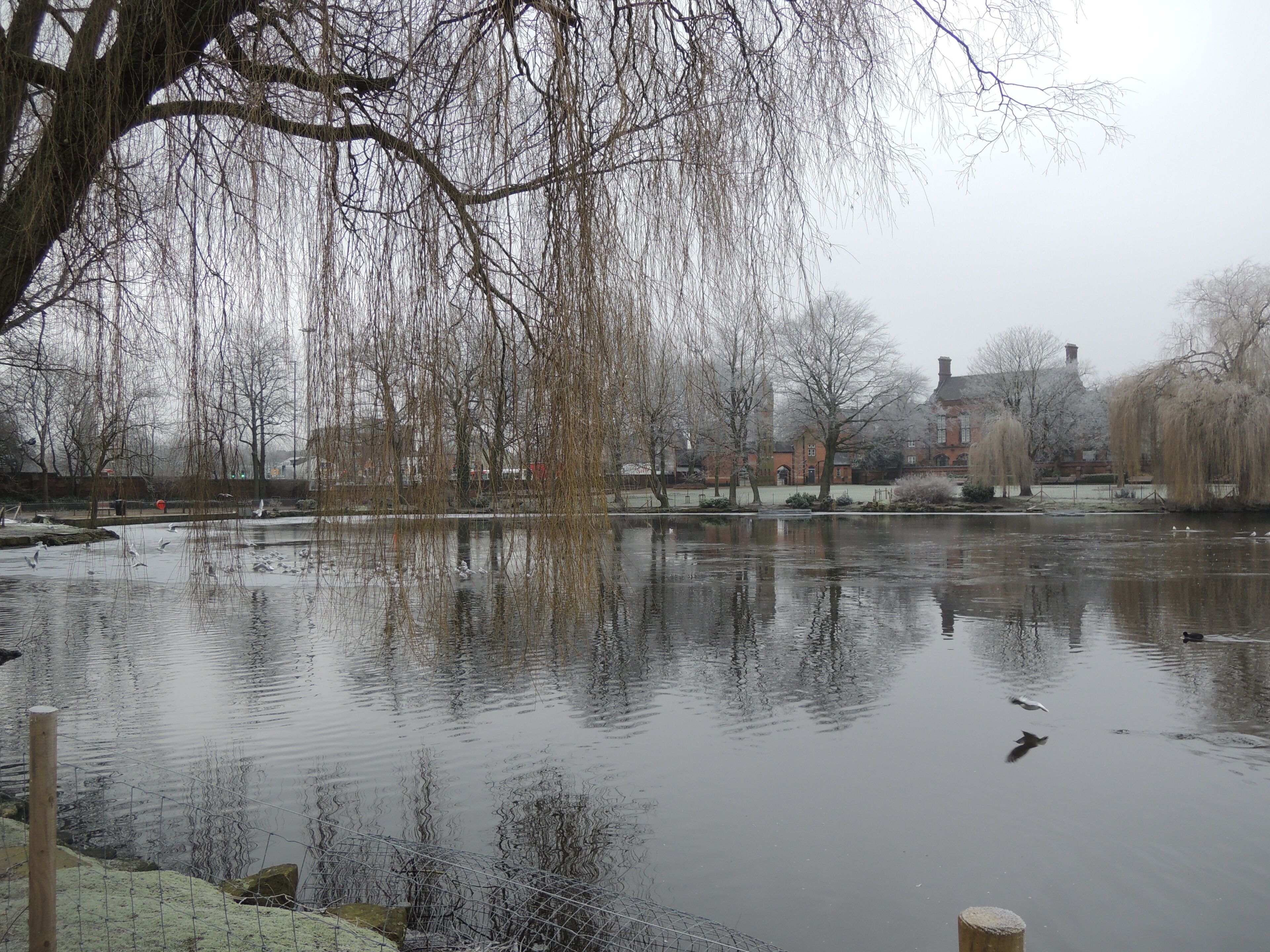 Hatherton Lake, Walsall Arboretum