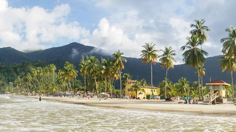 Ocean and Palm Trees at Maracas Beach in Trinidad and Tobago, Caribbean.