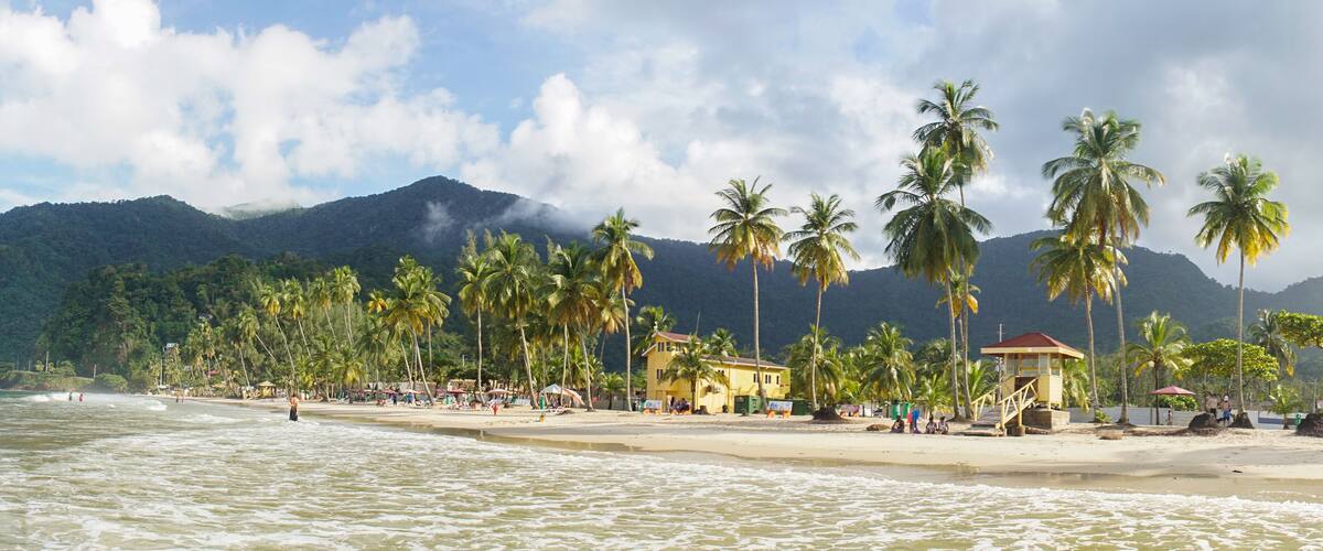 A beach with palm trees, a mountain, and a few buildings in the background.