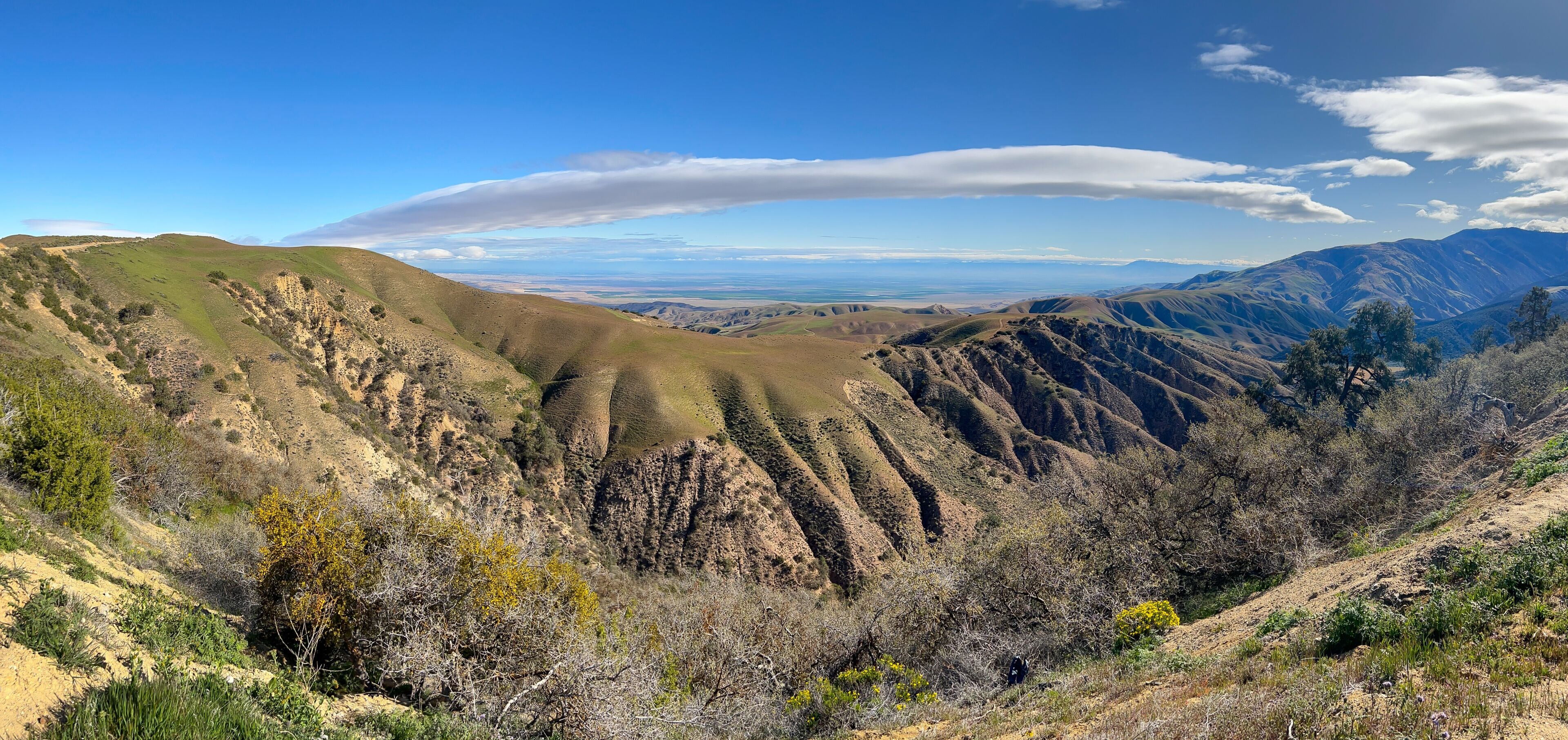 Panorama of Bitter Creek National Wildlife Refuge, Kern County, California