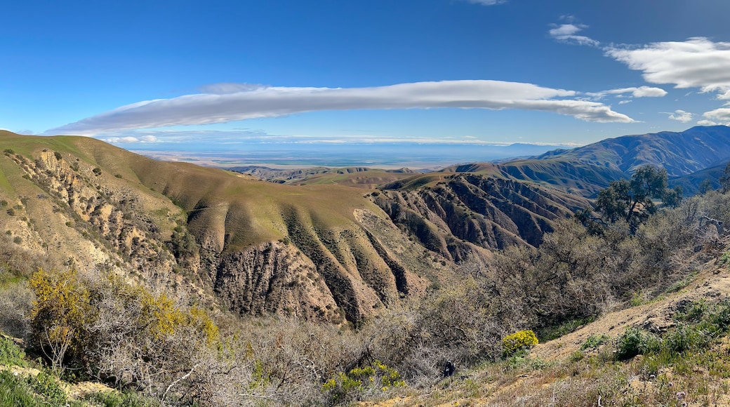 Panorama of Bitter Creek National Wildlife Refuge, Kern County, California