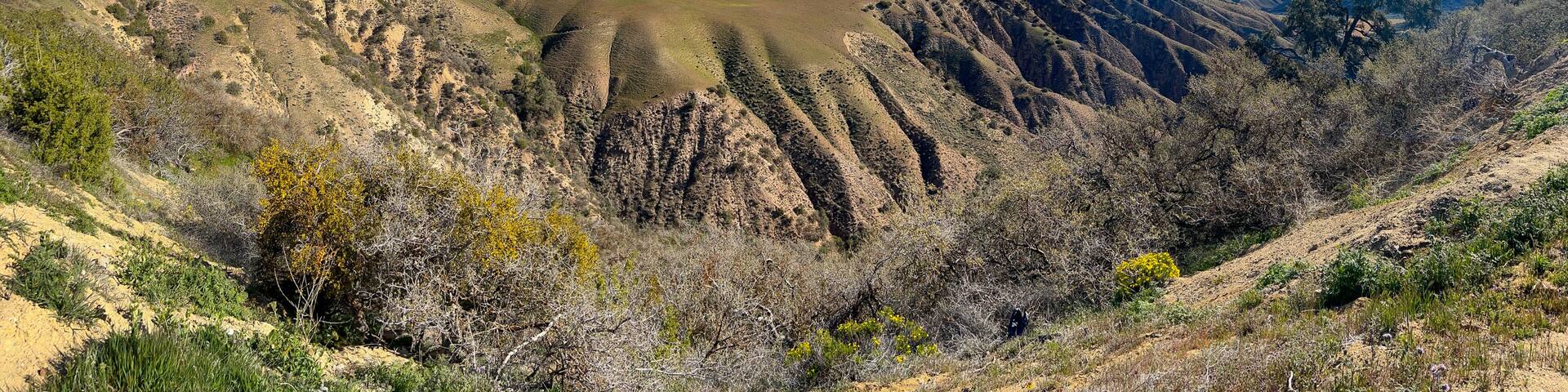 A mountainous landscape with rolling hills and sparse vegetation.