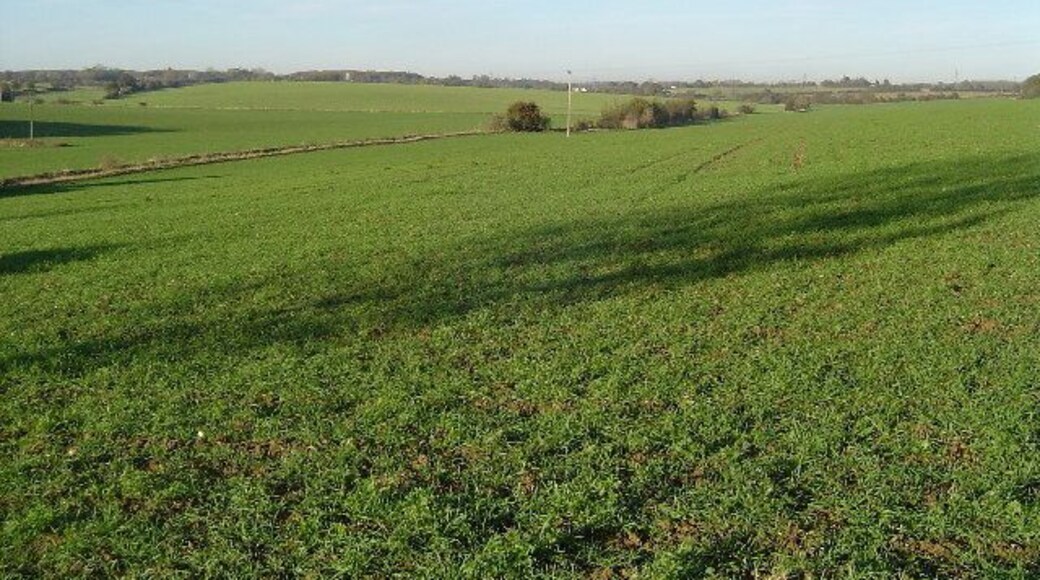 River Ash valley near Gravesend. Gravesend, Hertfordshire, that is! Arable farmland covers both sides of the river valley here. Viewed looking north westwards, Furneux Pelham Church is just visible as a grey block in front of the woodland on the horizon in the left distance.