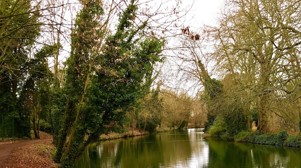 Along the River Lea #lifeatexpedia