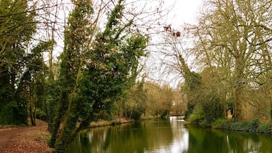 Along the River Lea #lifeatexpedia