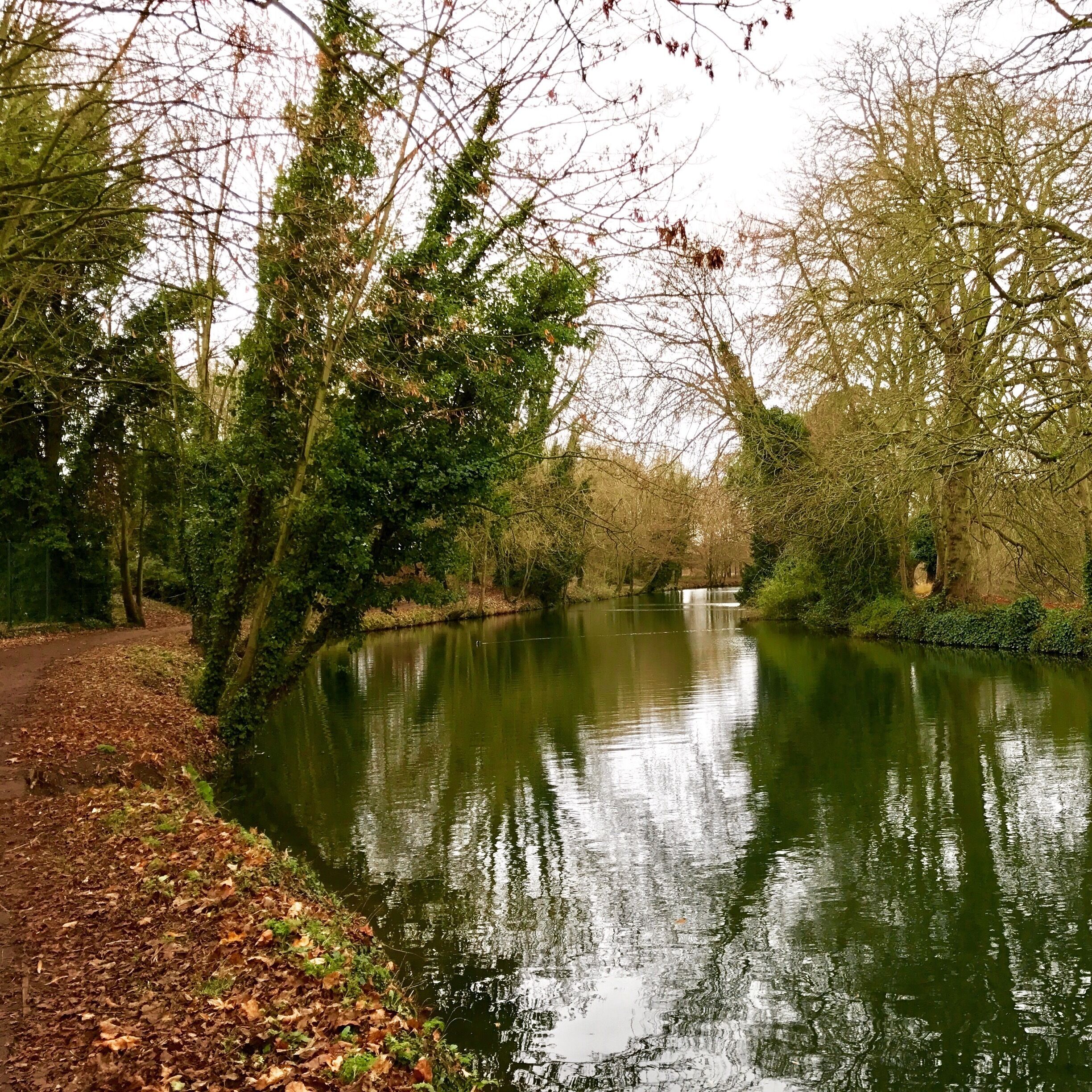 A calm river with trees and a path along the bank.
