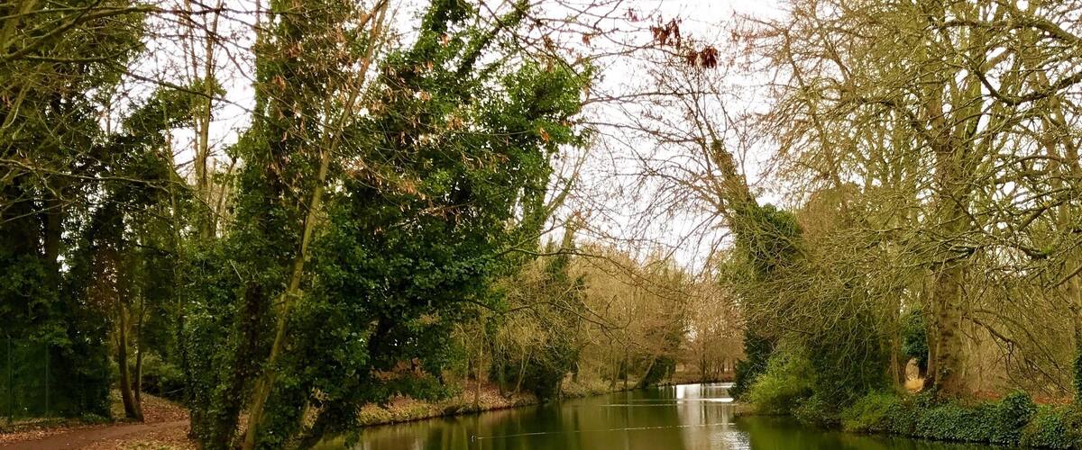 A calm river with trees and a path along the bank.