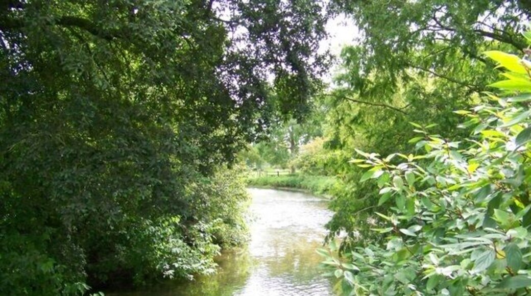 River Wylye, Knook Looking downstream. The Wylye is generally regarded as the most notable of the Avon tributaries. It rises five miles south of Warminster and flows north to the town; this uppermost reach is sometimes referred to as The Deverill Brook. Turning westward, it flows for another sixteen miles to join the Nadder just below Wilton, shortly before the latter reaches the Avon at Salisbury a mile or so further on.