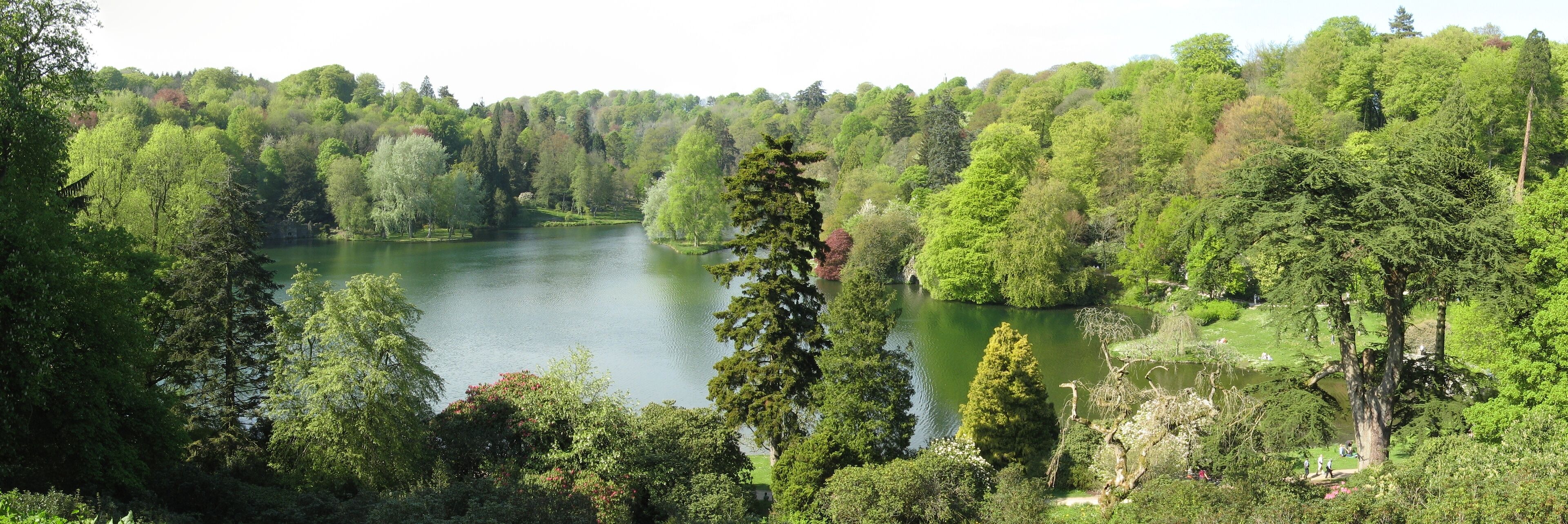 A serene lake surrounded by dense forest.