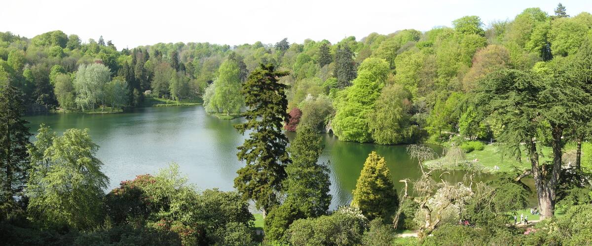 A serene lake surrounded by dense forest.