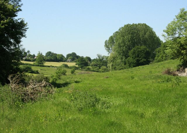A grassy field with trees and a hill in the background.