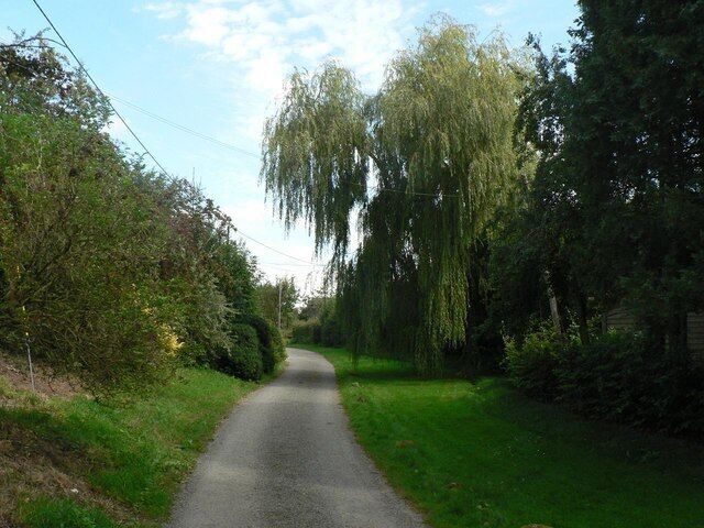 Knook: main street A large willow dominates the main street in Knook.