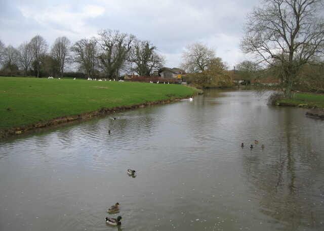 The Mill Pond, Horningsham A view looking north from the wooden footbridge over the Mill Pond at Horningsham.