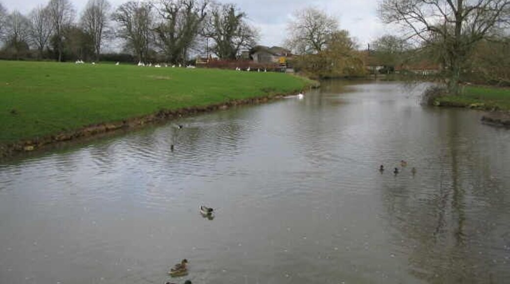 The Mill Pond, Horningsham A view looking north from the wooden footbridge over the Mill Pond at Horningsham.