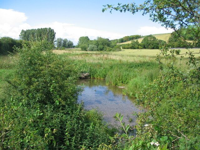 Chitterne Brook A view looking to the northeast along Chitterne Brook from New Road.
