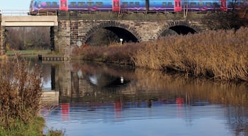 A lovely place to walk close to where we used to live