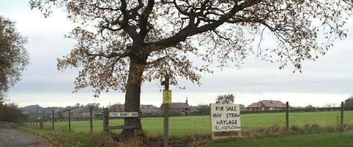 A rural landscape with a signboard advertising a property for sale.