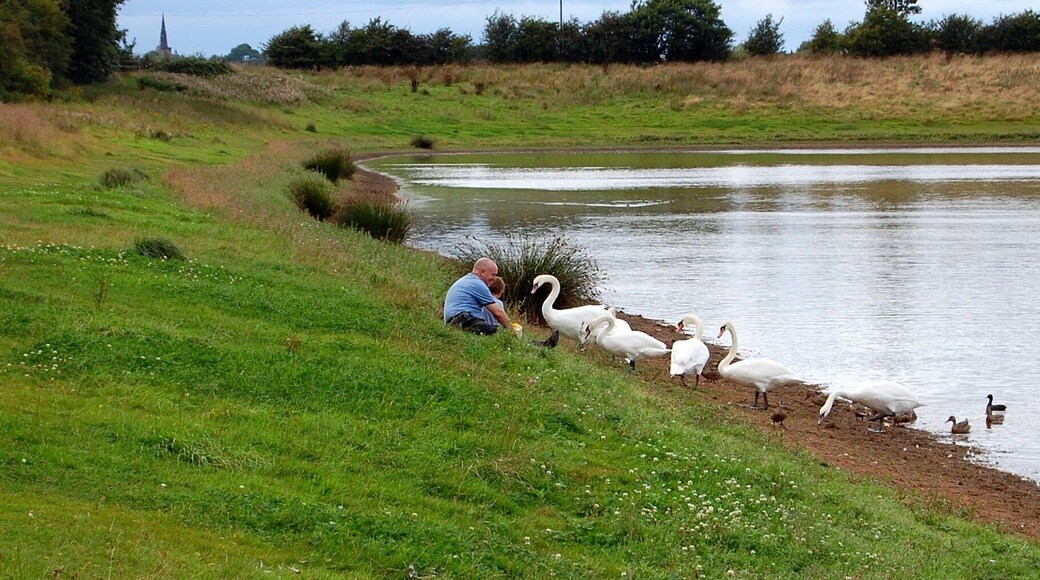 Taken in the small village of Croft near Warrington Cheshire UK.